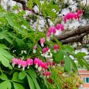 여강길(7코스 부처울습지길) 이미지