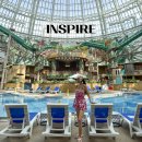 호텔로다 | 영종도 인스파이어 리조트 호텔 수영장 투숙 후기