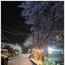 신영편의점 | 신영펜션에서 느끼는 강원도의 고즈넉한 자연과 특별한 휴식