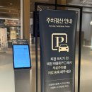 가산 애슐리퀸즈 신메뉴 치즈축제 디너 내돈내산 후기