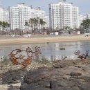 웅천친수공원 이미지