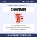 애플산부인과 부천점
