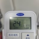 김해강아지분양두부네하루