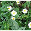 제빵집 - 시흥시 신천3길 37 | 제빵집