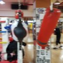 평촌 권투체육관 이미지