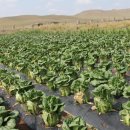 운동농장 이미지