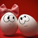 음악시간 호스텔 이미지