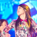 하이미스터 이미지