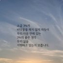 소금 3%가 이미지