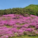 수만리 생태숲공원 이미지