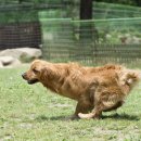 시지동물병원 이미지