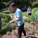 글램핑판 이미지