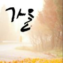 솔우 이미지