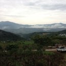 차경농장 이미지