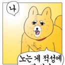 엘리시안 강촌 스키장 이미지