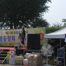 영동초교 이미지