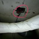 노원-현장-1386 | 노원구 중계동 화장실 콘센트 설치(비데용)