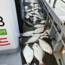 영복1호 이미지