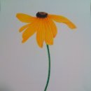 보타니컬아트(초급) 이미지