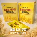 산마을영농조합법인 | 진도강황영농조합법인 커큐민 발효효소 일주일 후기, 곡물발효소제 루틴 관리