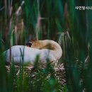 샤인빌 시니어스 너싱홈 이미지