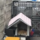 다복이분식 이미지