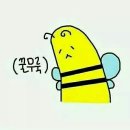 안*영 - 미추홀구 경인로116번길 45-12 | 안*영