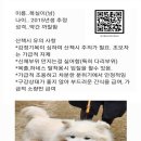 복실이 이미지