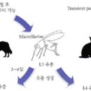 이지동물병원 이미지