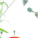 아이구루 티스토리
