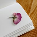 심리학으로 만나는 나 이미지