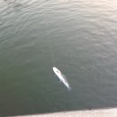 유정낚시터 | 4월에도 송어 낚시가 가능하다? 유정낚시터 송어장 후기 (4/22)