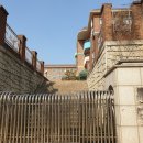 대전대양초교 이미지