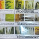 호연의료기 네이버블로그