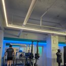 다이나믹 복싱 | 🥊 강남 펀치박스 복싱 체험기 – 운동, 스트레스 해소, 다이어트까지 한 번에!