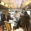 해피애견타운강아지분양서울본점 말티푸 미니비숑프리제 포메 이미지