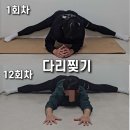 고려대 태권도 | 발차기 유연성 기르는 다리찢기 방법 – 복싱·태권도·족구를 위한 스트레칭