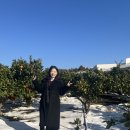 해삼농장 | 3박4일 12월의 제주도 여행 3일차 1편<수두리보말칼국수 / 귤체험 / 용머리해안>