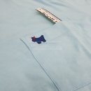 포켓불독 이미지