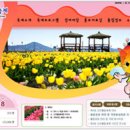 청산면축제추진위원회 이미지