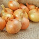 중국산 신선양파 잔류농약 초과 검출 이미지