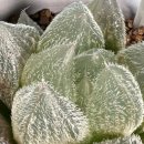 먼로농장 이미지