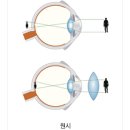 안경지식인 이미지