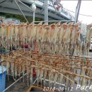 정이품식당 티스토리