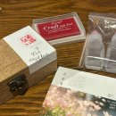 (3/28) 레진 압화 코스터 만들기 | [탯줄도장 만들기] 셀프 탯줄도장 diy 내돈내산 후기/ 온유정