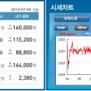 골드쉘화정