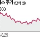 에스엔산업 이미지