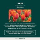 휴동물의료센터 이미지