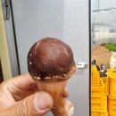 주식회사 더원