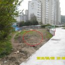 탄벌동-4 이미지